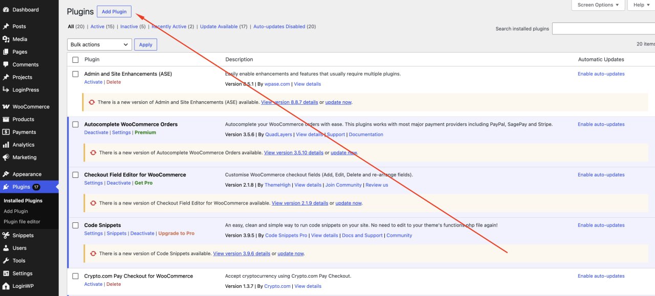 Open the WordPress plugins area screenshot
